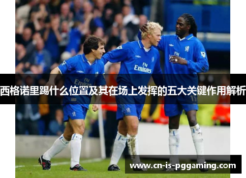 西格诺里踢什么位置及其在场上发挥的五大关键作用解析 西格诺里踢什么位置及其在场上发挥的五大关键作用解析
