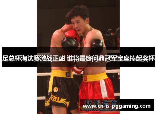 足总杯淘汰赛激战正酣 谁将最终问鼎冠军宝座捧起奖杯