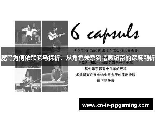 魔鸟为何依赖老马探析：从角色关系到情感纽带的深度剖析