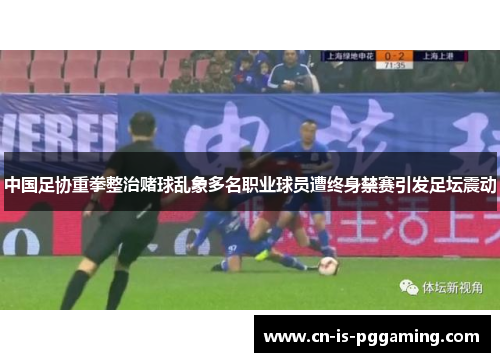 中国足协重拳整治赌球乱象多名职业球员遭终身禁赛引发足坛震动